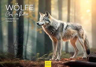 Edition Seidel Premium Kalender Wölfe Chef im Revier 2026 Format DIN A3 Wandkalender Tierkalender Tiere Wildtiere Rudel Wolf Wald Natur Melanie Viola