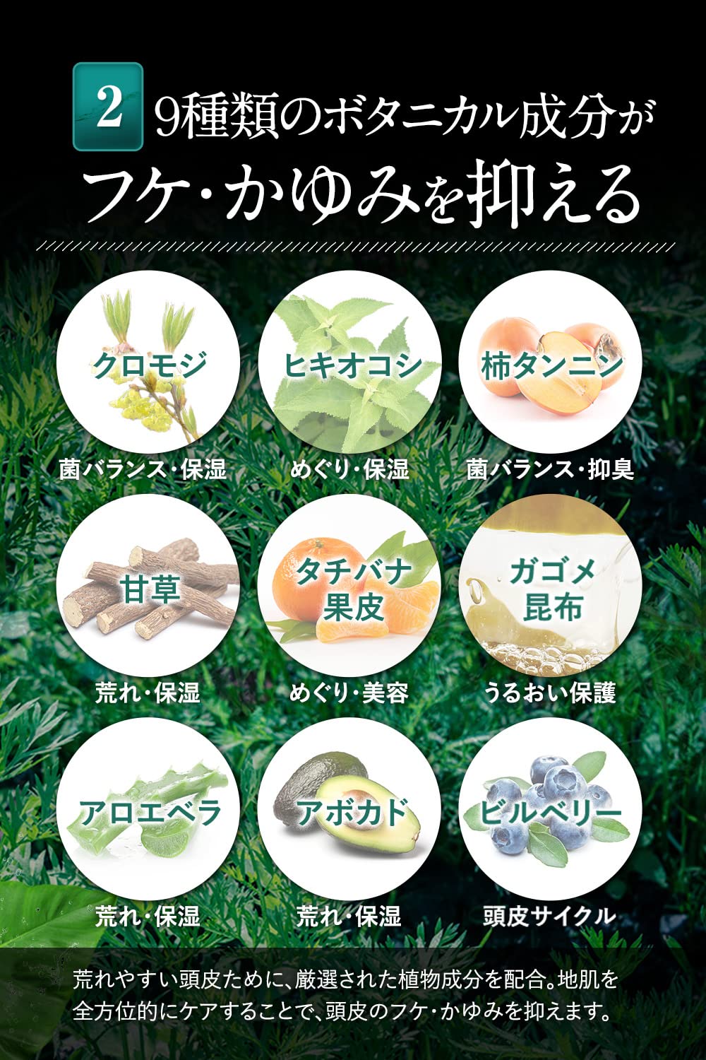 Amazon | すっぴん地肌ナチュラルスカルプシャンプー「頭皮のかゆみ