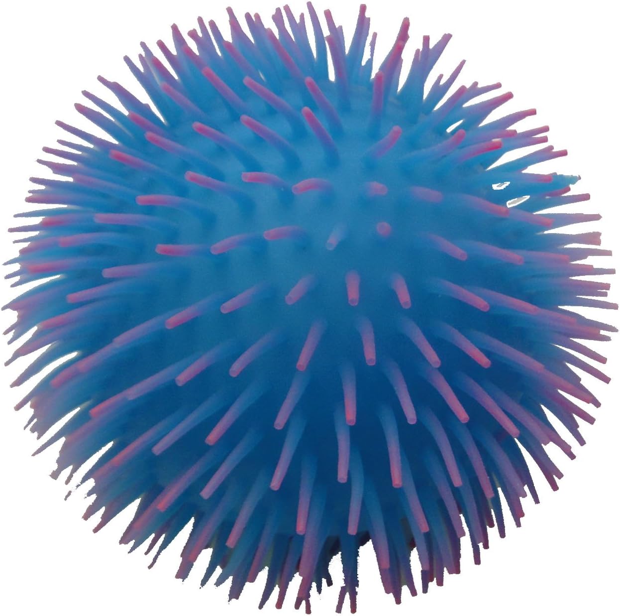 Curious Minds Busy Bags...