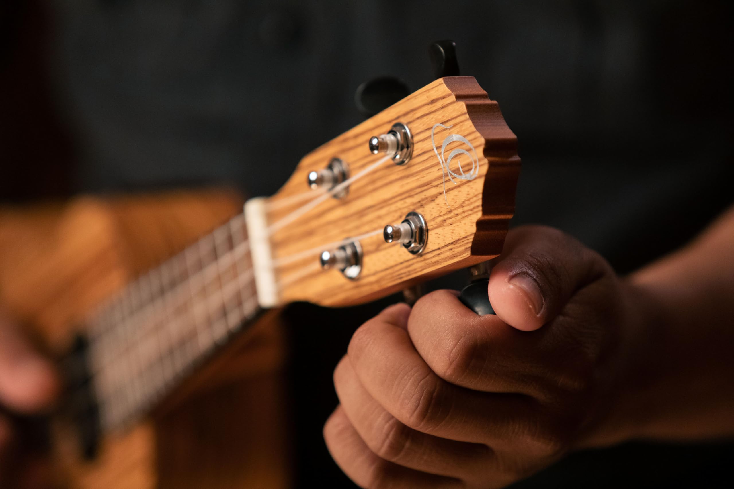Ortega Guitars Ukulele Soprano Elettro-Acustico – Timber Series – Gig Bag Inclusa – Zebrawood, Natural (RFU10ZE)
