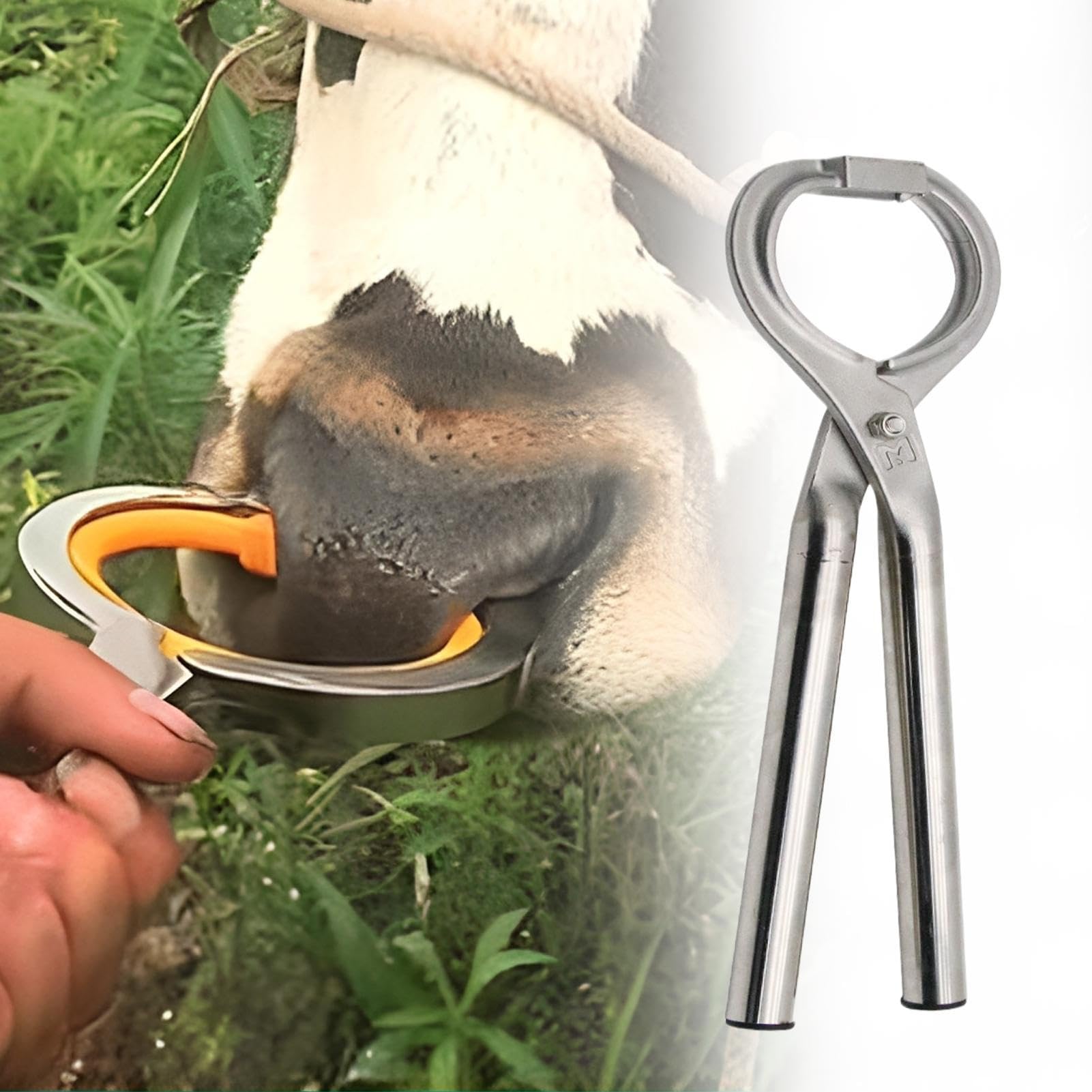 Pinze Tecniche a Naso Tondo per Bovini Accessorio Per Allevamento Animali | Tenaglie Regolabili In Acciaio Per La Gestione Di Bovini E Tori