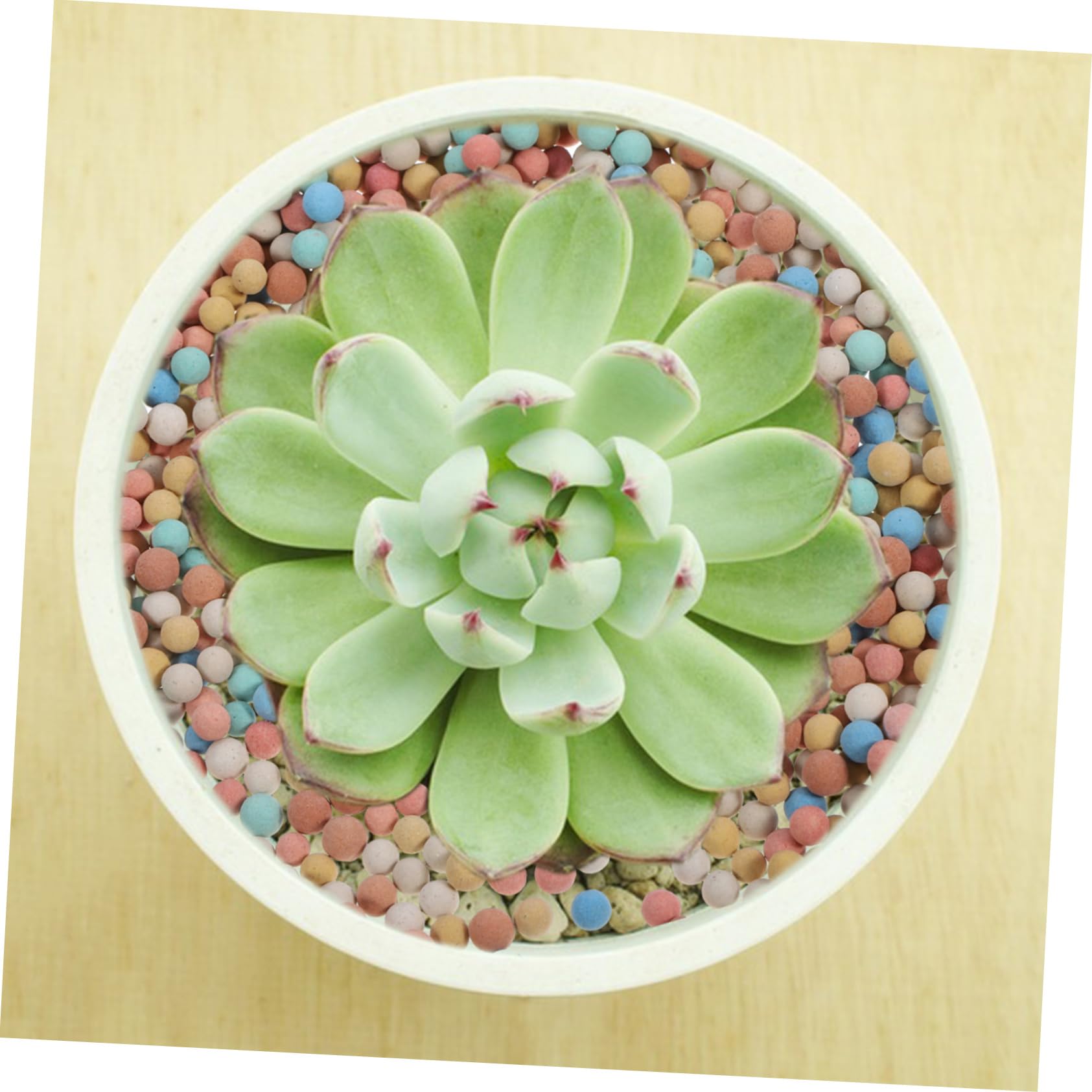 BESTonZON Céramsite Décoratif pour Pots de Fleurs 500g/ Argile Naturelle pour Plantes Succulentes et Bonsaï Utilisation en Poterie et Jardinière