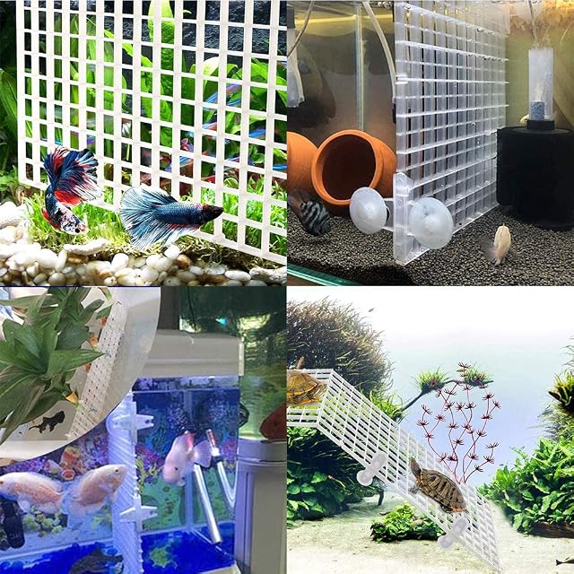 Foto 8 de 8 de 4 Piezas Bandeja Separadora para Acuario,Tablero de Segregación con Abrazaderas para Acuario Bandeja…