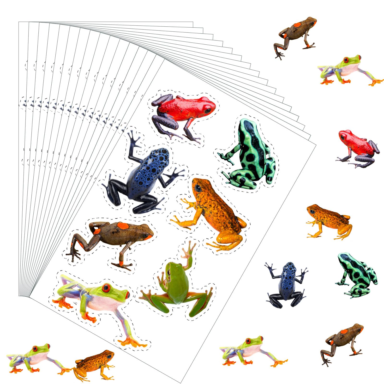 Autocollants grenouilles réalistes AmazingSpark lot de 12 feuilles colorées pour collectionneurs