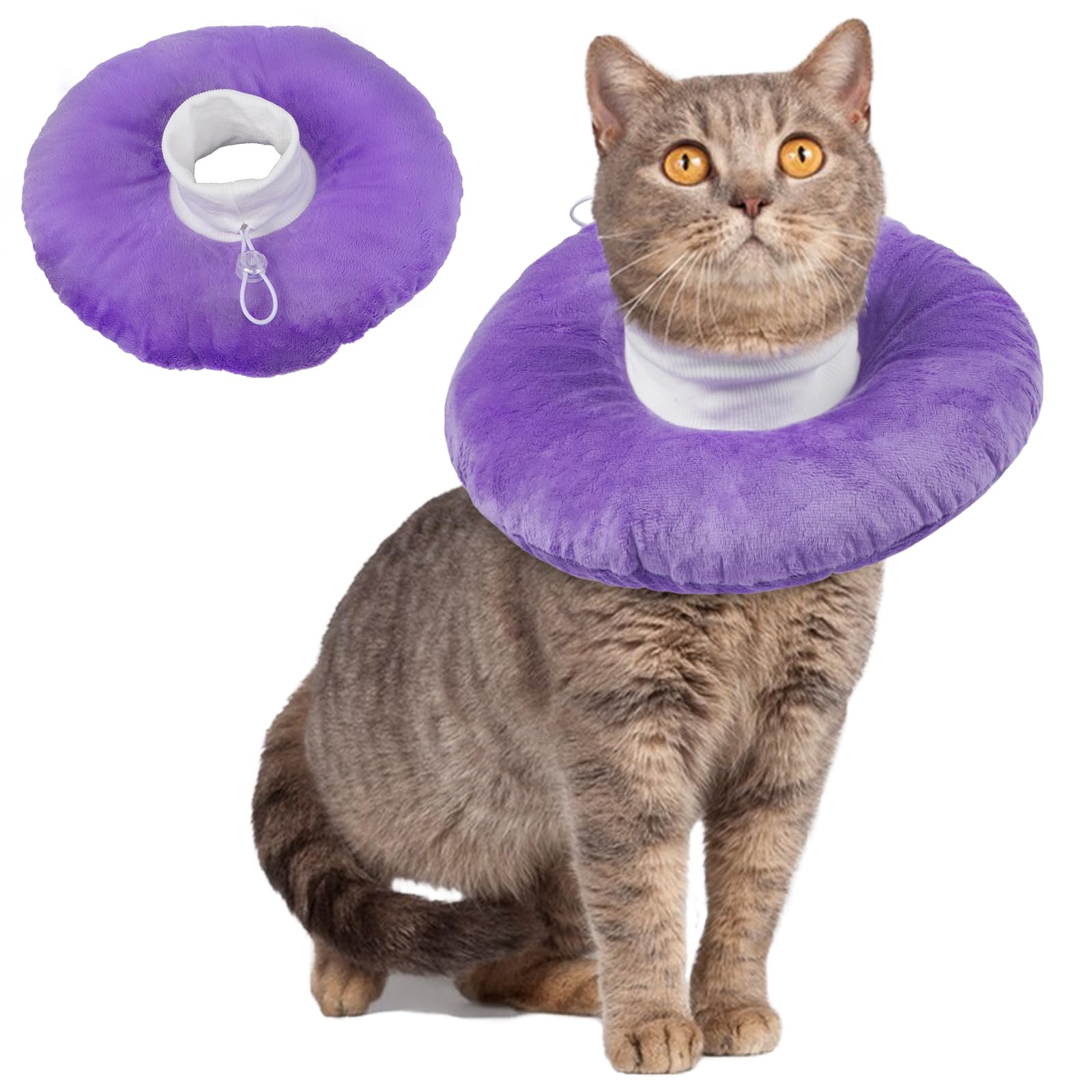 Cat Collar after Surgery