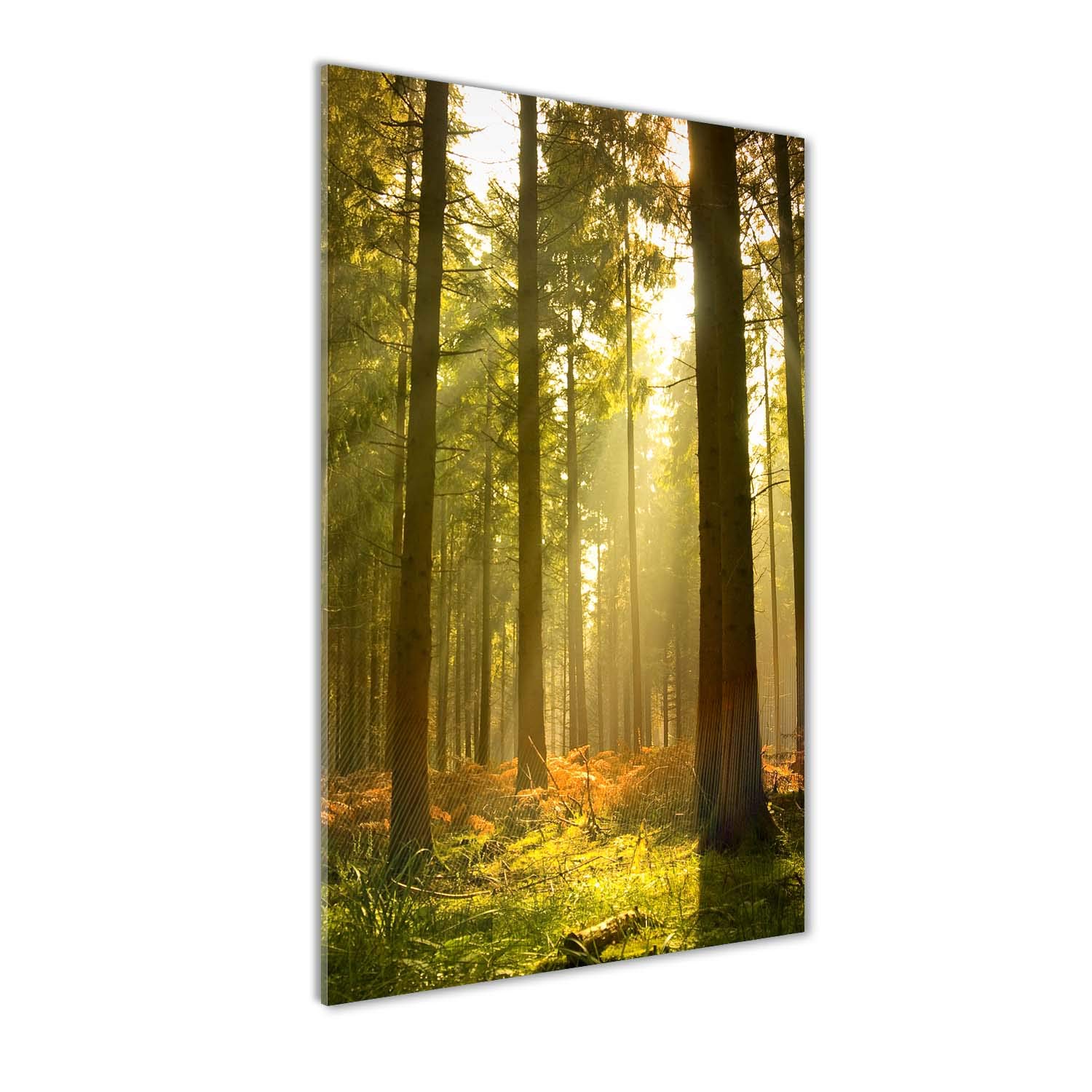 Image sur verre acrylique Tulup déco mural moderne paysage forêt verte tableau 60x120 cm