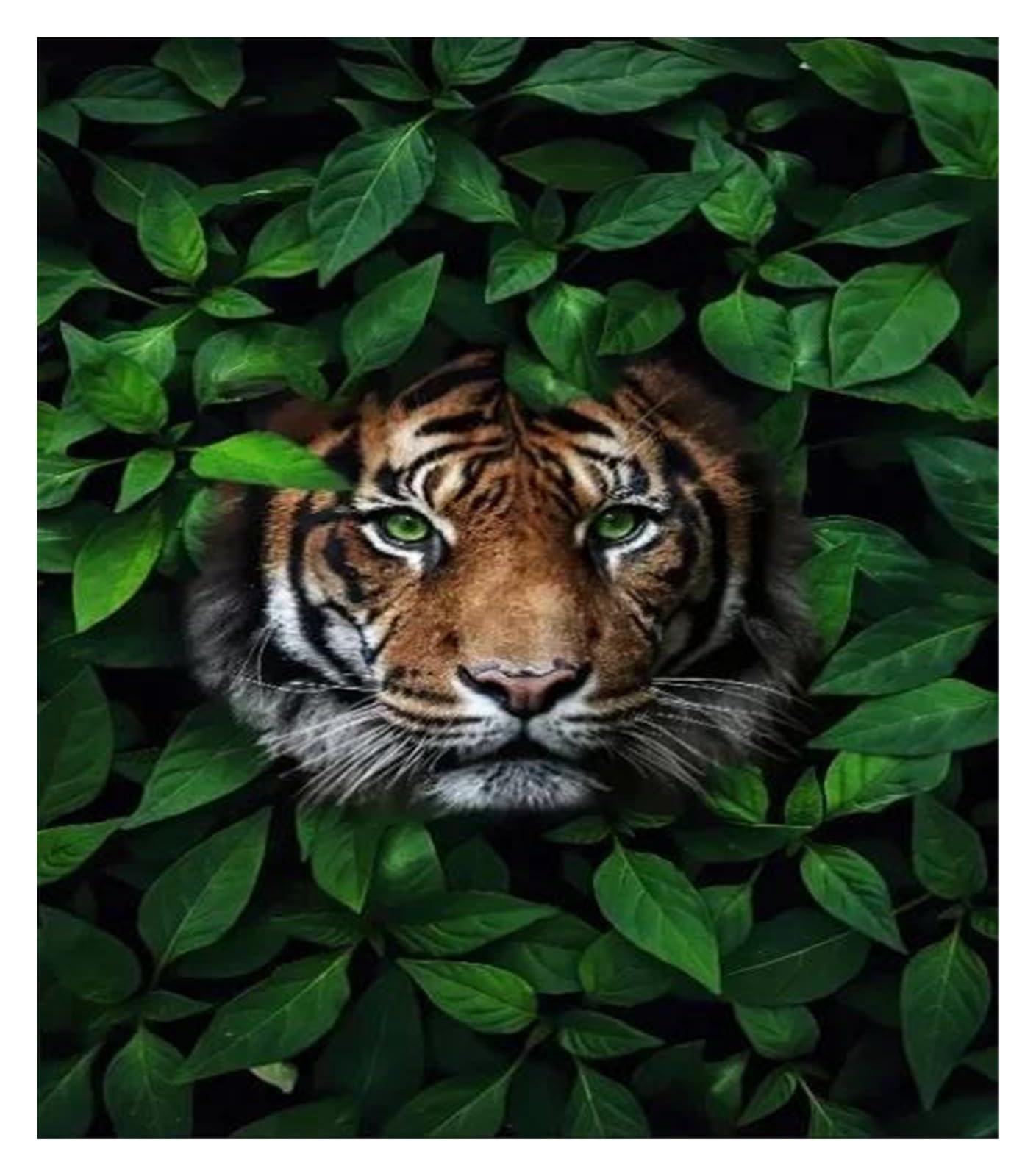 Peinture sur toile de fleurs et lion pour un salon moderne et chaleureux
