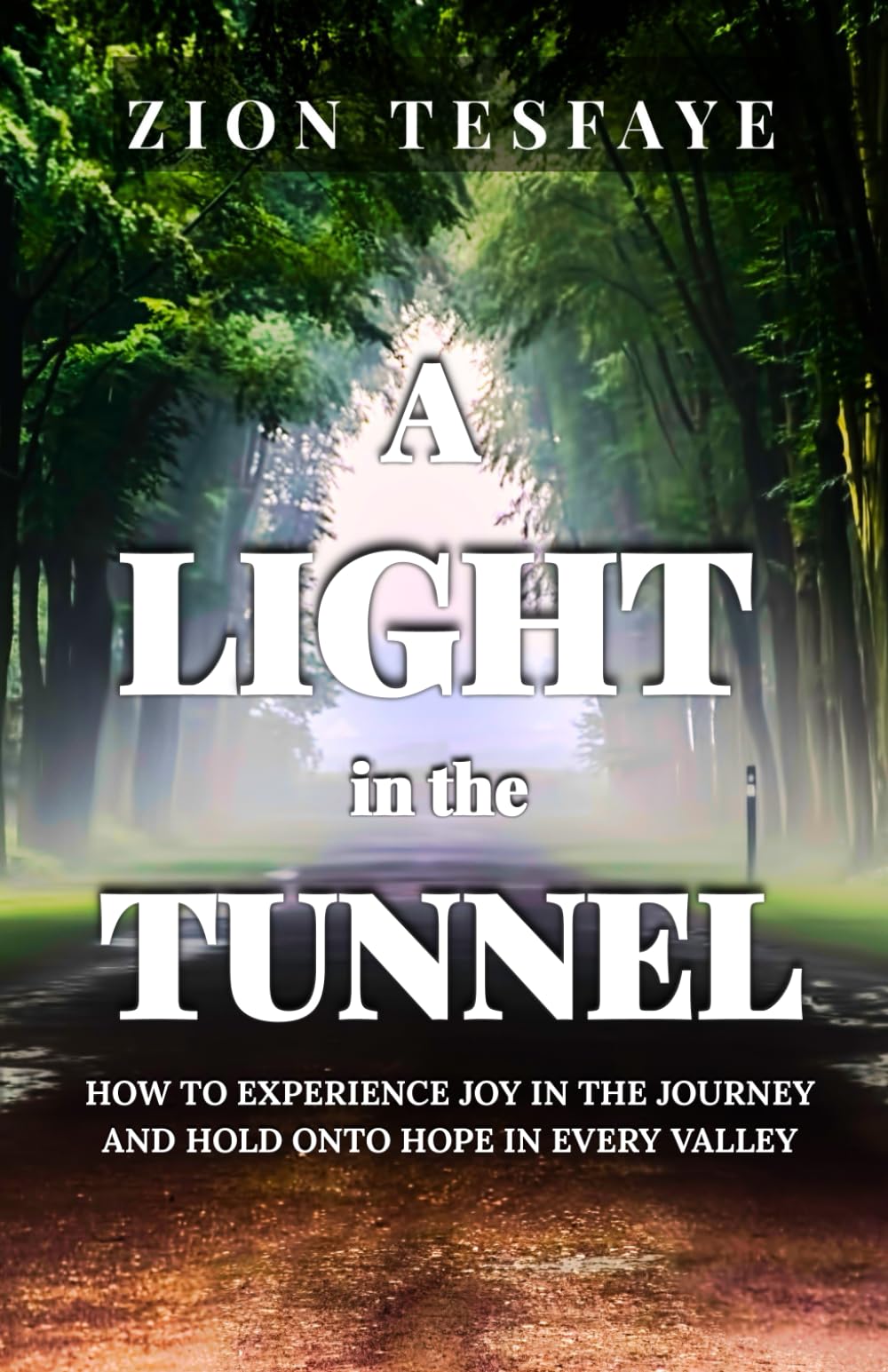 A Light in the Tunnel: How to Experience Joy in the Journey and Hold onto Hope in Every Valley