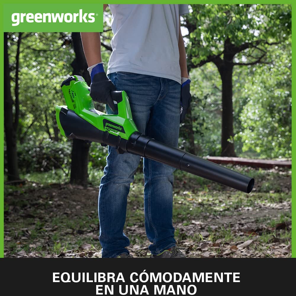Greenworks G40ABK2 Soplador de Hojas a Batería Axial, con Control de Crucero, 177 km/h, 11,05 m³/min, Batería de 40V 2Ah y Cargador, Garantía de 3 Años