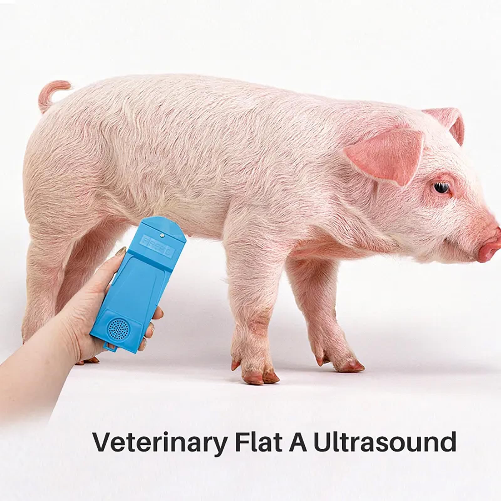 Scannerveterinario a Ultrasuoni A,Tester Gravidanzaveterinaria a Ultrasuoni con Sonda Impermeabile a Ultrasuoni a 360° E Promemoria Sonoro,rilevamento Rapido5S,per Suini,Pecore,Mucche,Cavalli