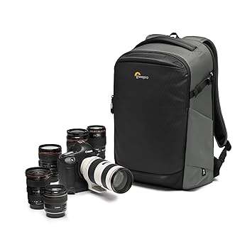Lowepro Flipside 400 AW III Professional Camera Backpack (Black)