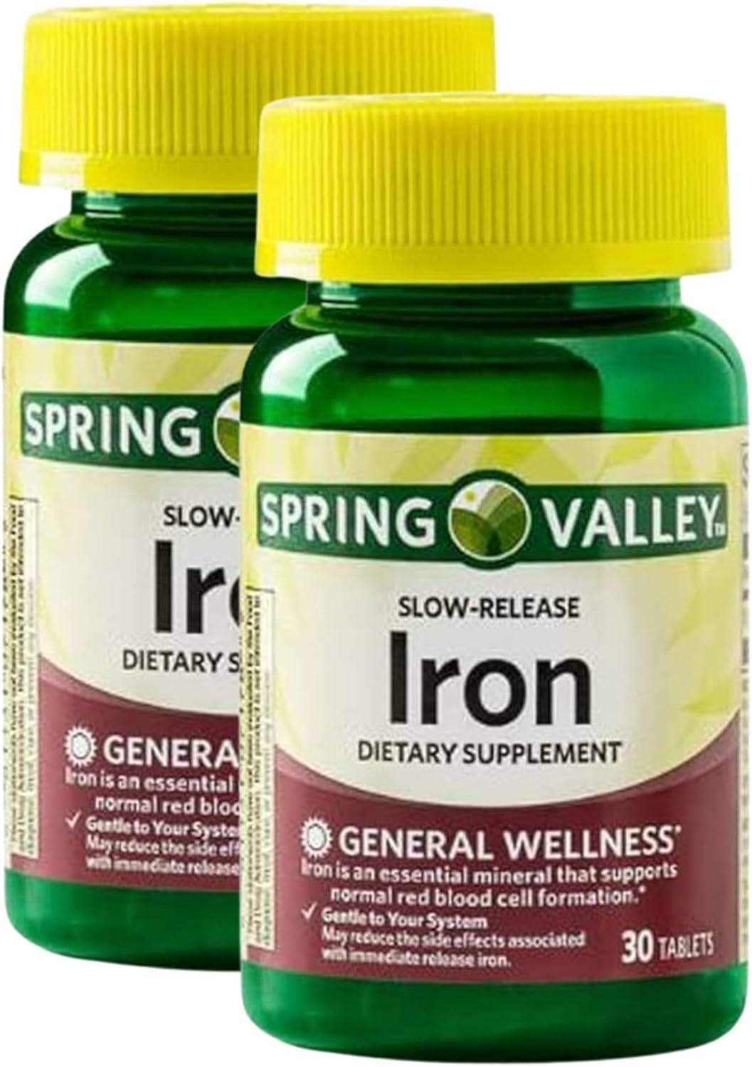 Iron Slow Release 45 mg – 30 Tablets, Gentle Iron Supplement for Women and Men, Iron Tablets Vegetarian Formula, Daily Mineral Supplement (Pack of 2)