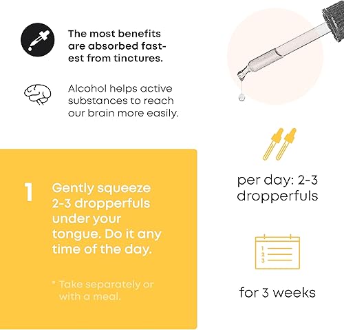 Miniatura 4 de SHROOMWELL Líquido de extracto de melena de león, tintura de extracto de hongo de melena de león de doble extracción, suplemento de hongo melena de