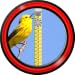 Verrouillage de l'écran - Oiseaux chantés