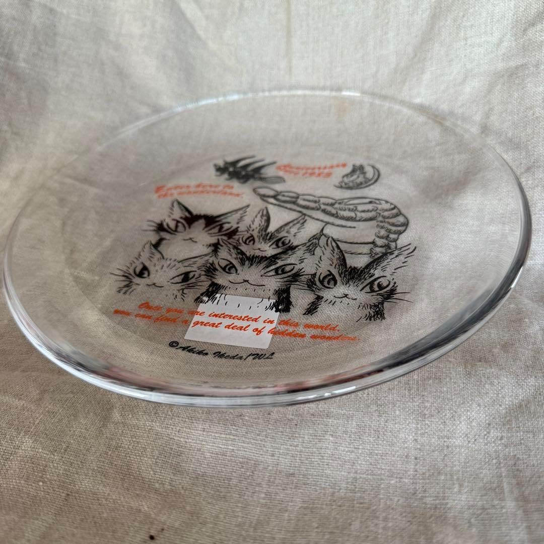 リチャードジノリ 24センチ皿2枚 リチャードジノリ イタリアンフルーツ