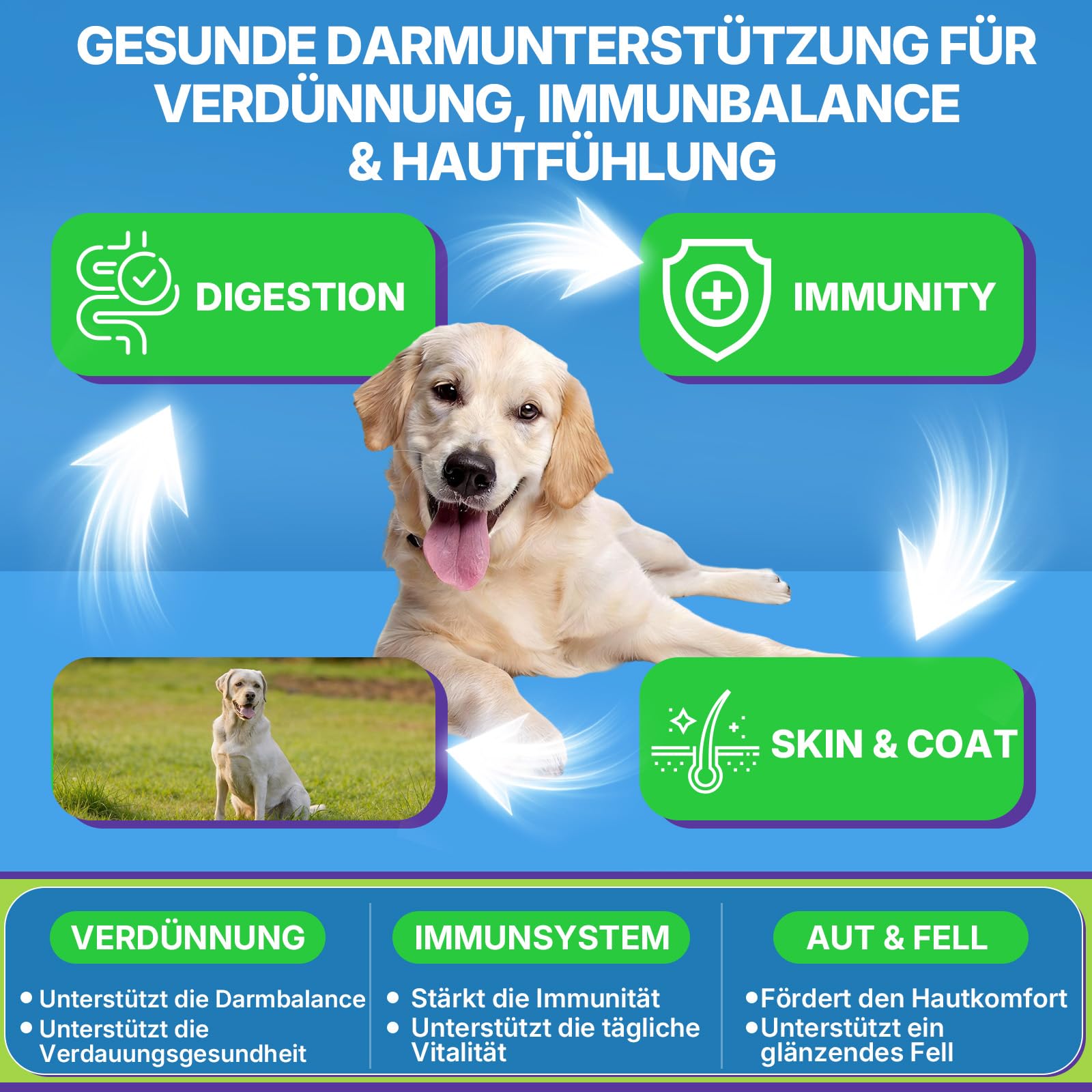 WEALLIN Probiotika für Hunde, Präbiotika für die Darmgesundheit – Unterstützt die Verdauungsgesundheit und die Nährstoffaufnahme – 200 Weiche Kaudrops zur Unterstützung der Hautgesundheit