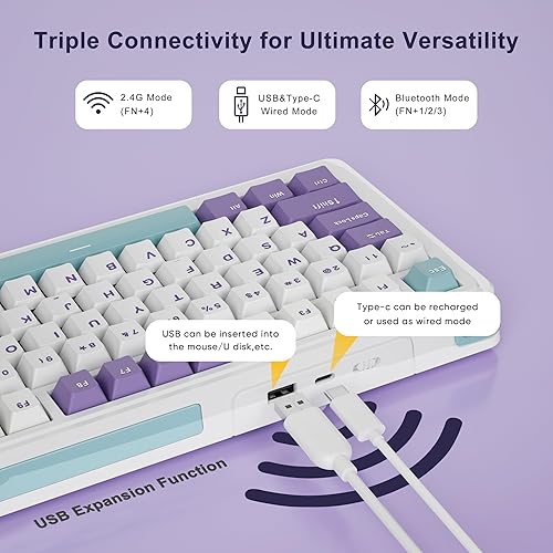 Miniatura 4 de BOYI Teclado mecánico inalámbrico C75 con pantalla, 75% montado en juntas, tres modos Bluetooth 5.02.4GHzpuerto tipo CUSB-A, 81 teclas RGB cremoso