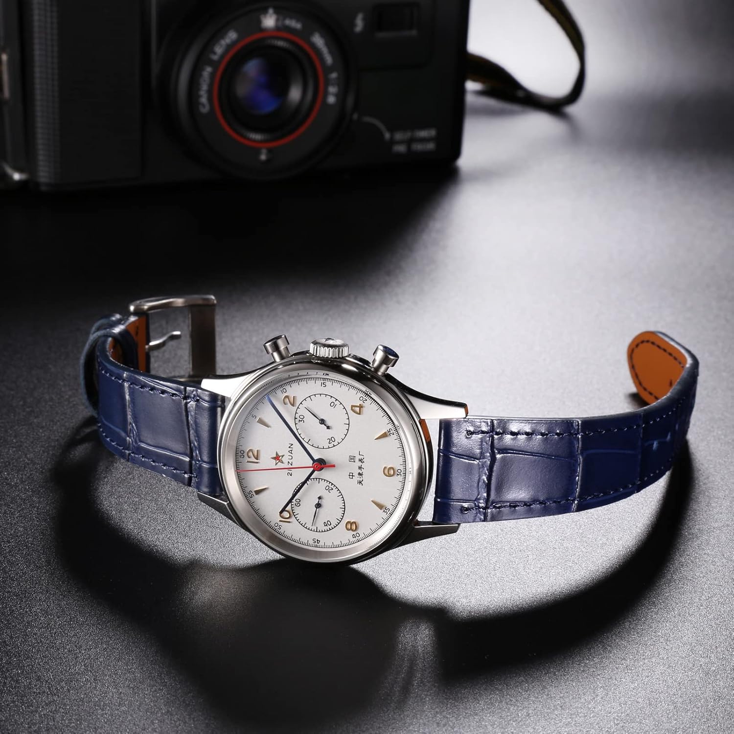 Hemsut Alligator Grain Leather Watch Band, Quick Release Genuine Leather Watch Strap 18mm,19mm, 20mm, 21mm 22mm for Men and Women