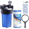 PUREPLUS Whole House Water Filter System: 10 x 4.5 Size, Single-Stage Filtration with Sediment and Carbon Filter, with Pressure Gauge, 1 InletOutlet