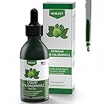 Chlorophyll Liquid Drops - 100% Natural Energy Booster and Immune Support - Internal Deodorant and Detox - Altitude Sickness Relief - Fast Absorption, Vegan & Non-GMO - 120 Servings (Pack of 1)
