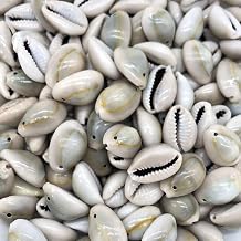 125-145pcs/bag Natural Cowrie Sea Shell Beads Cowrie Shells Charms, Beach Seashells with Hole for Hair Bracelet Jewelry Making Wedding Party Wall Home Decor