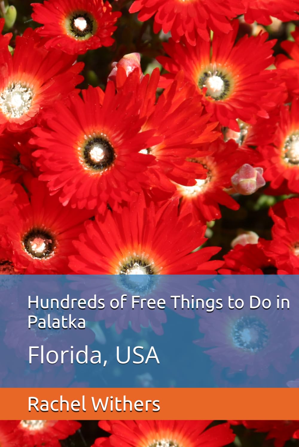 Hundreds of Free Things to Do in Palatka: Florida, USA