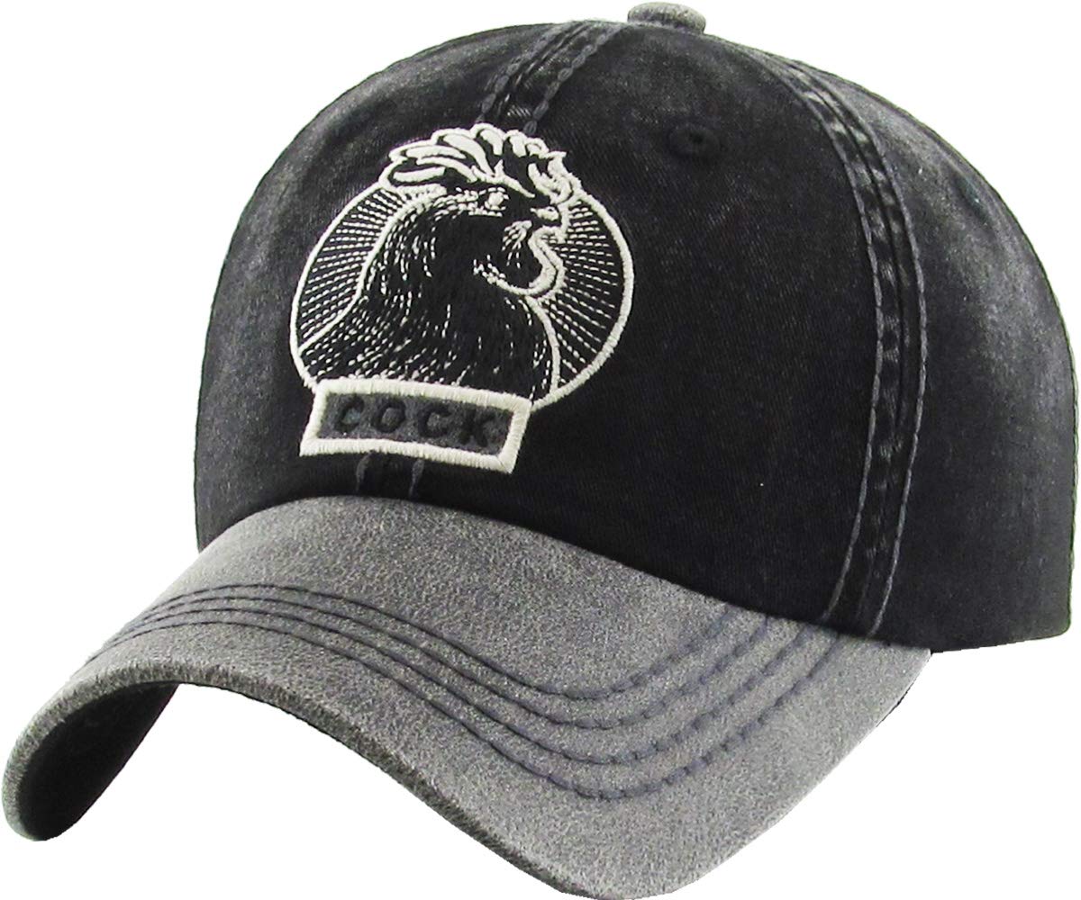 distressed dad cap