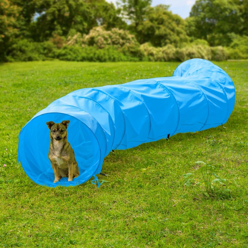 A dog sitting inside the TecTake Agility Tunnel on a grassy field, demonstrating its use.