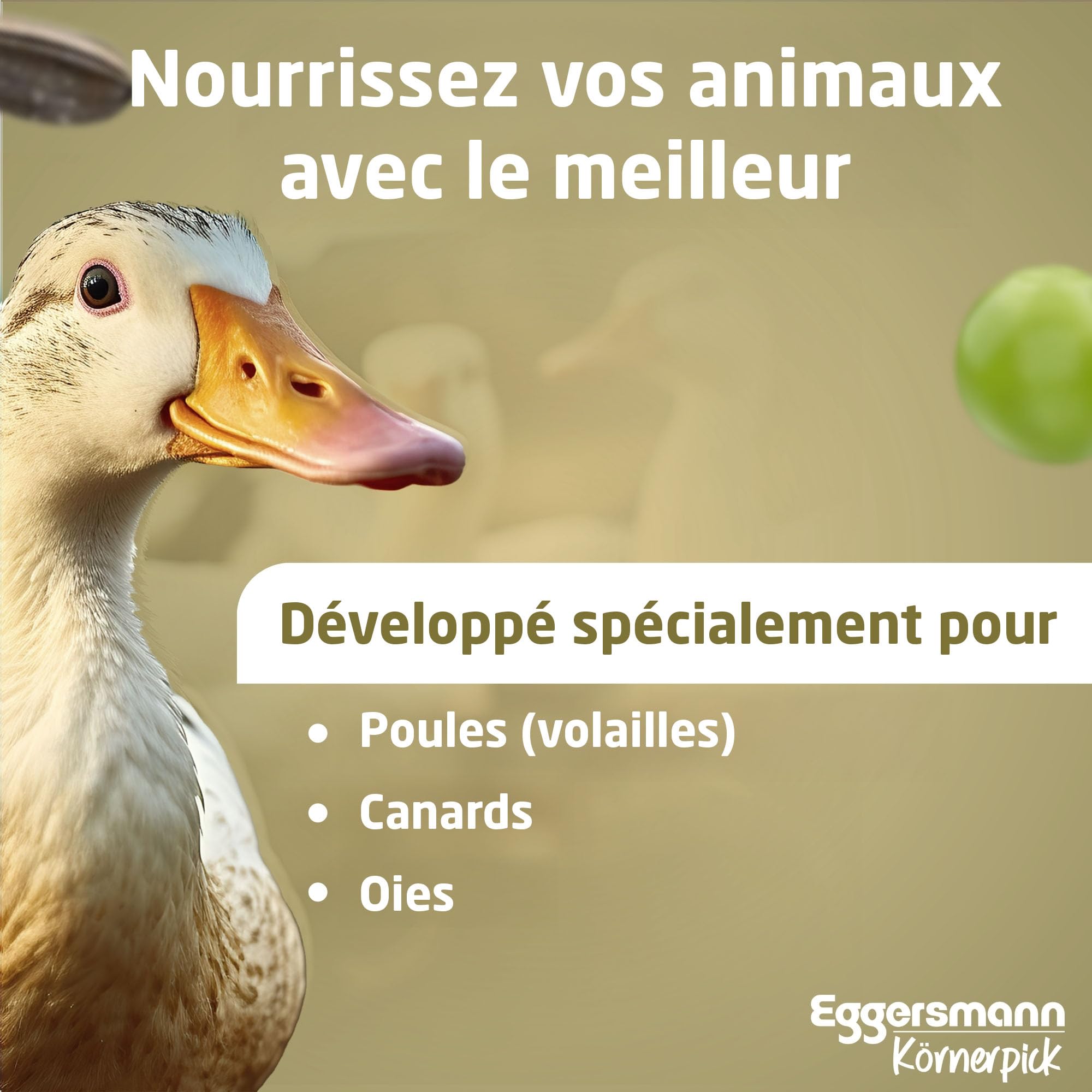 Eggersmann Körnerpick 25kg Premium Nourriture Poule - Premium Aliments pour volailles - Graines Poule - Premium mélange de graines pour Poules, oies & Canards de Fabrication Naturelle