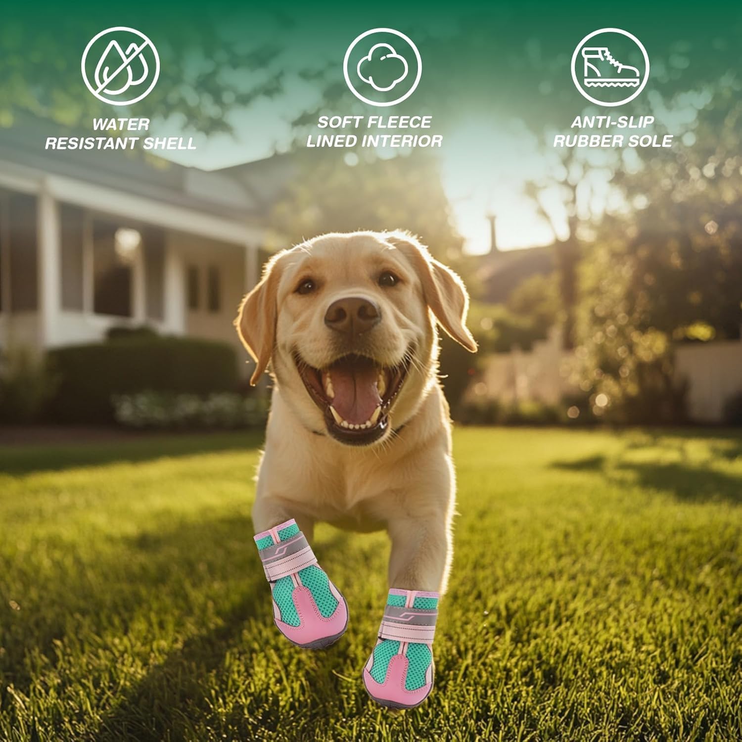 Dog Shoes for Small Dogs, Large Dog Boots for Winter Snow, Hot Pavement, Dog Booties & Paw Protectors Pink Size 2