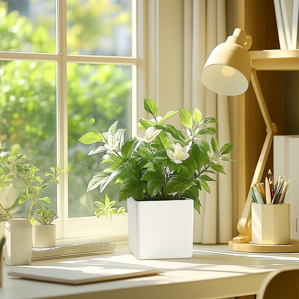 Self Watering Tabletop Planter Flower Pots for Home, Terrace, Balcony, Vertical Garden Decor Flower Pots(1 PC, White, Square) 6 Inch UV-Resistant Plastic Plant Pots image 3