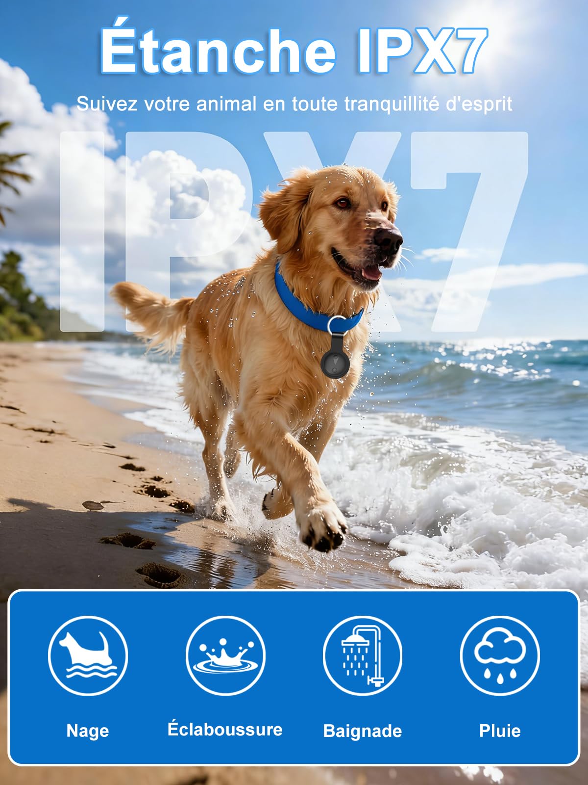 Collier GPS Chat, GPS Chien avec Suivi de Localisation en Temps Réel, Mini Traceur Chat, Traceur Chien sans Abonnement, Compatible iOS/Android, Longue Autonomie, Peut être Porté avec Un Collier, Noir