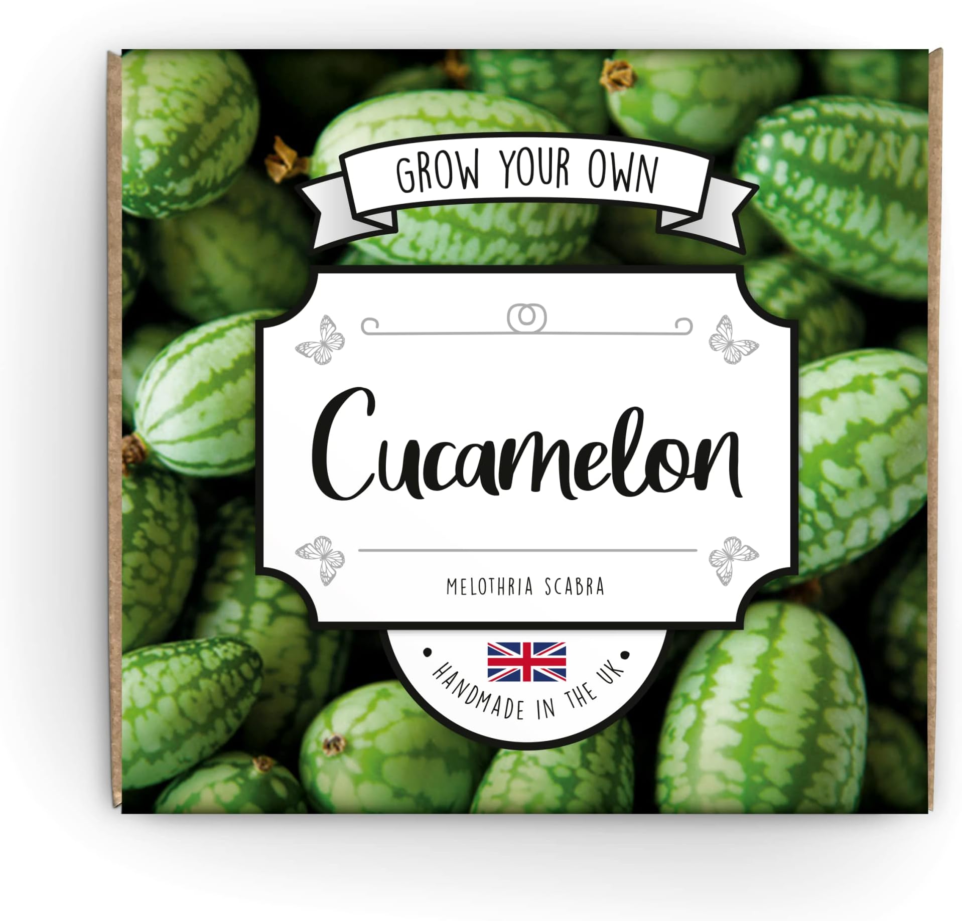 Grow Your Own Cucamelon Kit - Complete Beginner Starter Kit | Easy Instructions | Made in UK | Perfect Gardening Gift for Any Occasion