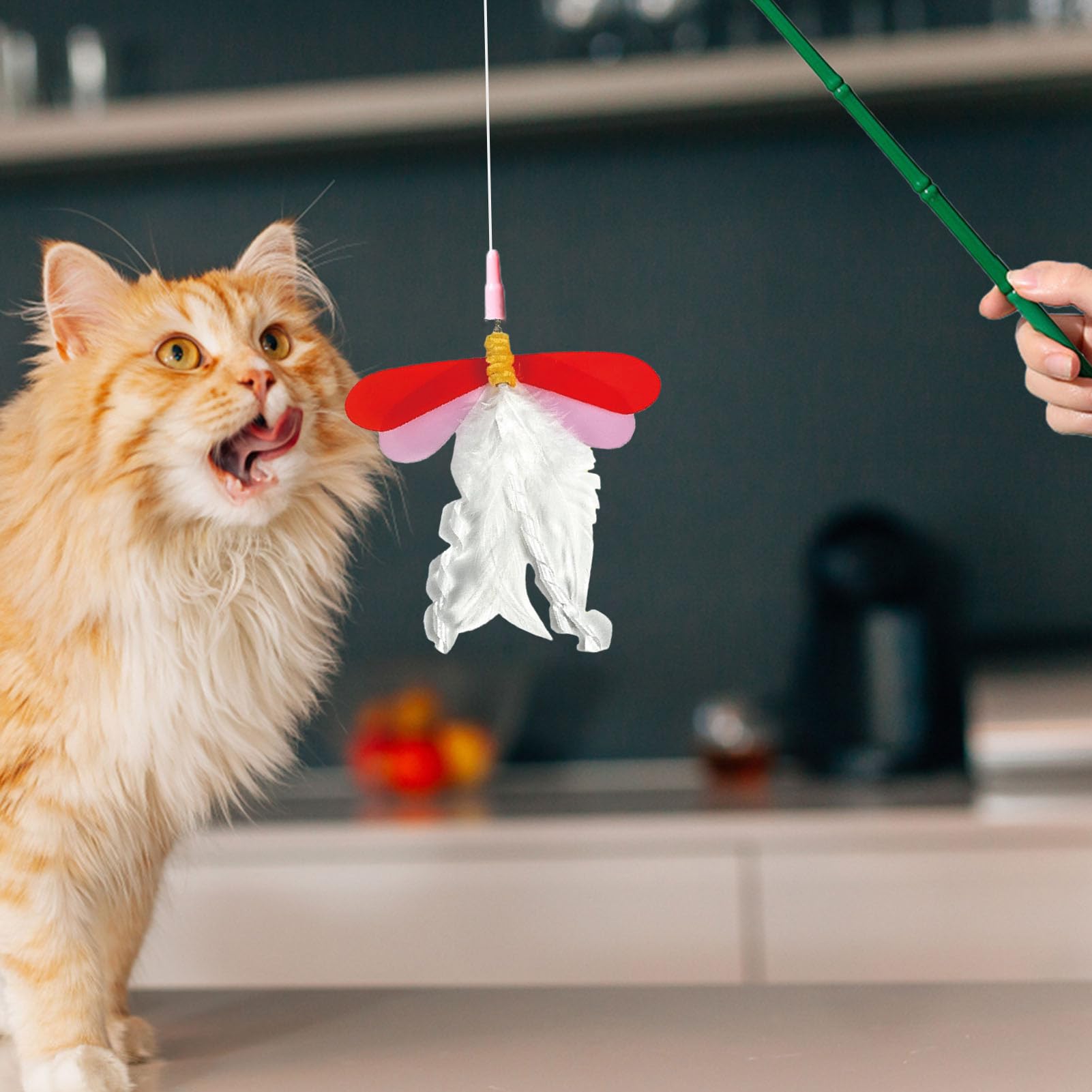 Katzen Spielzeug Stab - Lockstab Für Körperliches Training In | Libellenform - Katzenstab Spielzeug | Für Die Unterhaltung Von Kätzchen Mit Haustierzubehör Für Den Innen- Und Außenbereich I