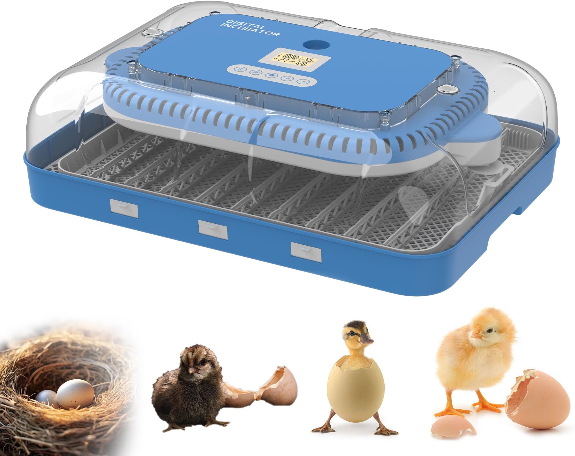 70 Egg Incubator, Automatic Turning & Humidity Control & Temp Regulation for Farm, School & Lab Use,Digital Poultry Hatcher for Chicken, Duck, and Quail Eggs