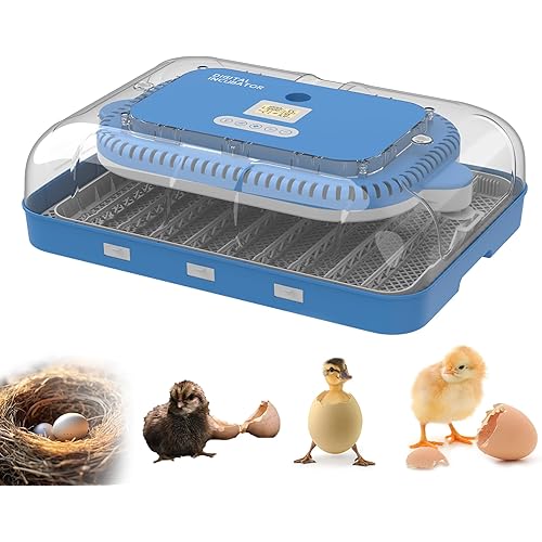 Egg Incubator for Hatching 70 Chicken, Duck, Quail & Goose Eggs – Automatic Egg Turner, Humidity & Temperature Control, Built-in LED Candler, Auto Water Refill, 360° Clear View Digital Poultry Hatcher