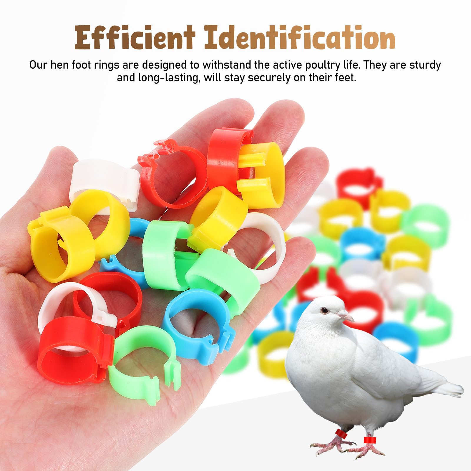 BESPORTBLE Chicken Leg Rings 30Pcs 0.63 Inch Clip-on Poultry Identification Bands for Chickens Ducks Geese Pigeons Multi-Colour Leg Bands for Efficient Flock Management - Image 4