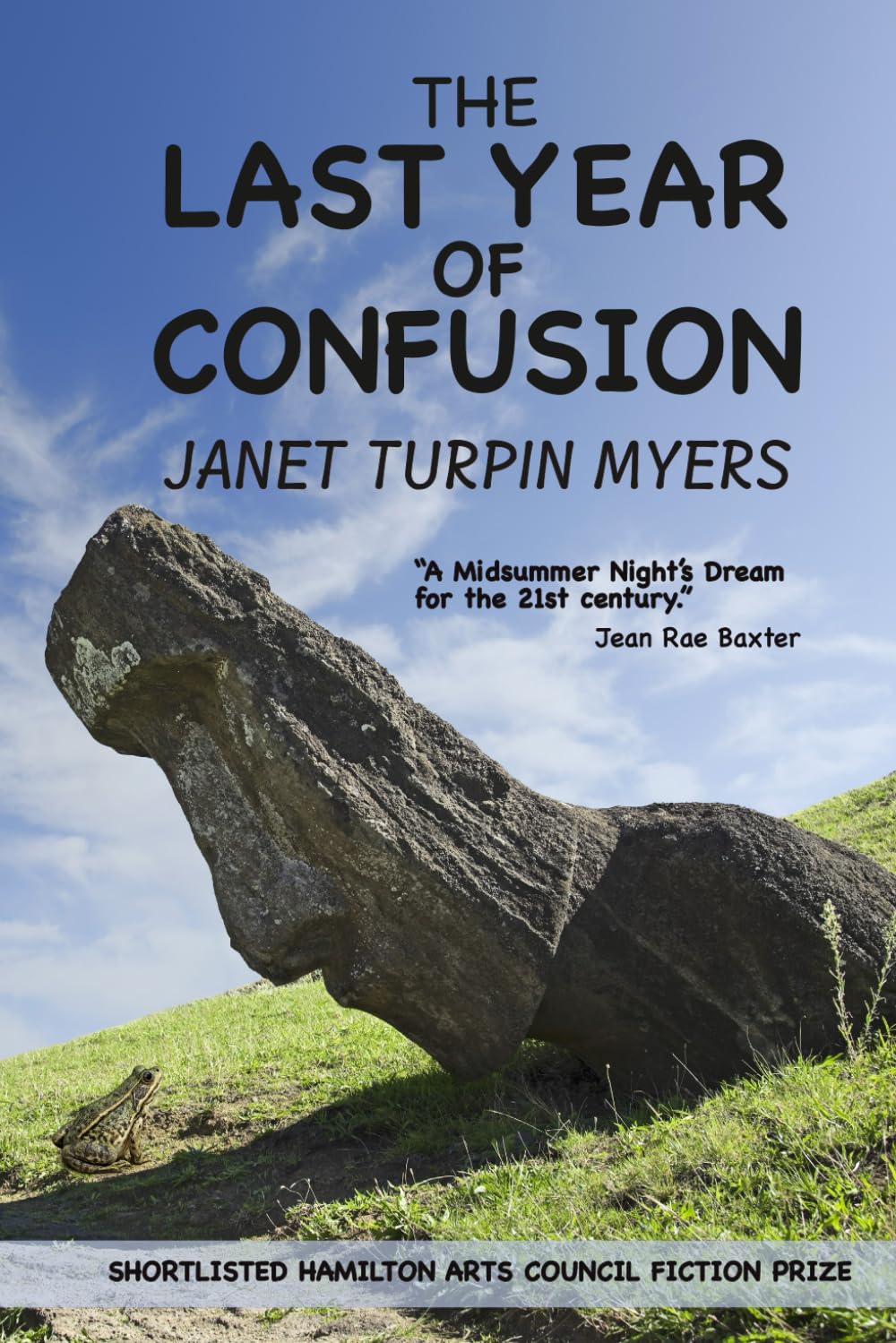 The Last Year of Confusion