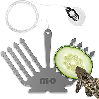Deluxe Cucumber Holder Fish Pleco Feeder for Aquarium - Stainless Steel, Dual-Fork Design, with Suct
