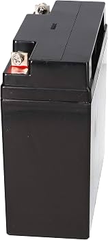 WSB Batterie 12V 18Ah AGM – Plomb Pour Tondeuse Autoportée, Tracteur, 17-23Ah, Raccord Vis M5, Sans Entretien, Haute Qualité Industrielle