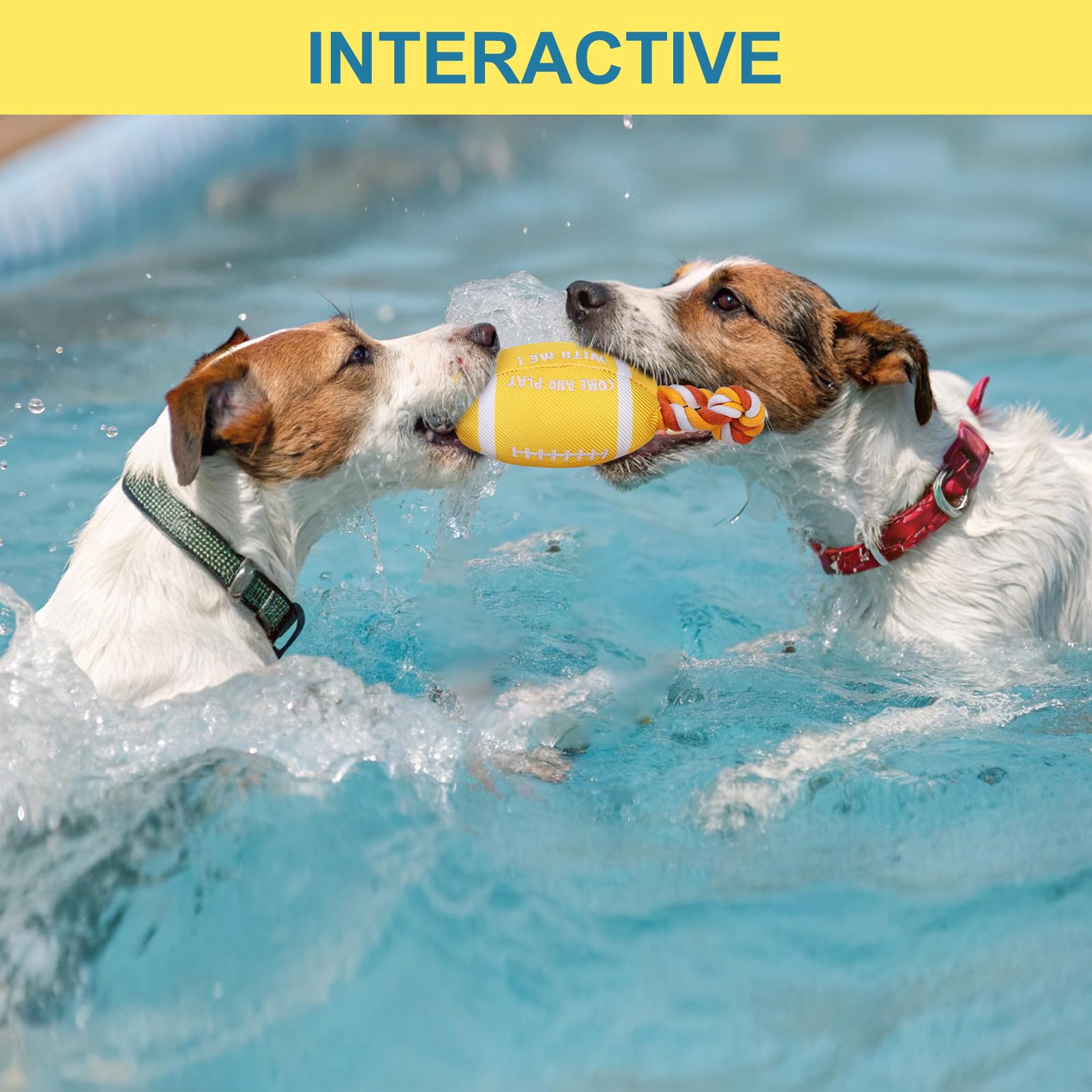 BEAUTYZOO Schwimmendes Hundespielzeug für kleine/mittelgroße Hunde – langlebiges kaubeständiges Quietschendes Wasser-Hundespielzeug mit Seil, interaktives Apportieren & Tauziehen, Sommerschwimmen