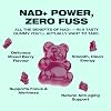 Swiss Peak NMN, NAD+ Vegan Gummies, Mixed Berry, 400mg per Gummy, 30 Count, Third-Party Lab-Tested, Maximum Strength, UK-Made | Anti-Aging, Cellular Repair, Energy Metabolism Booster
