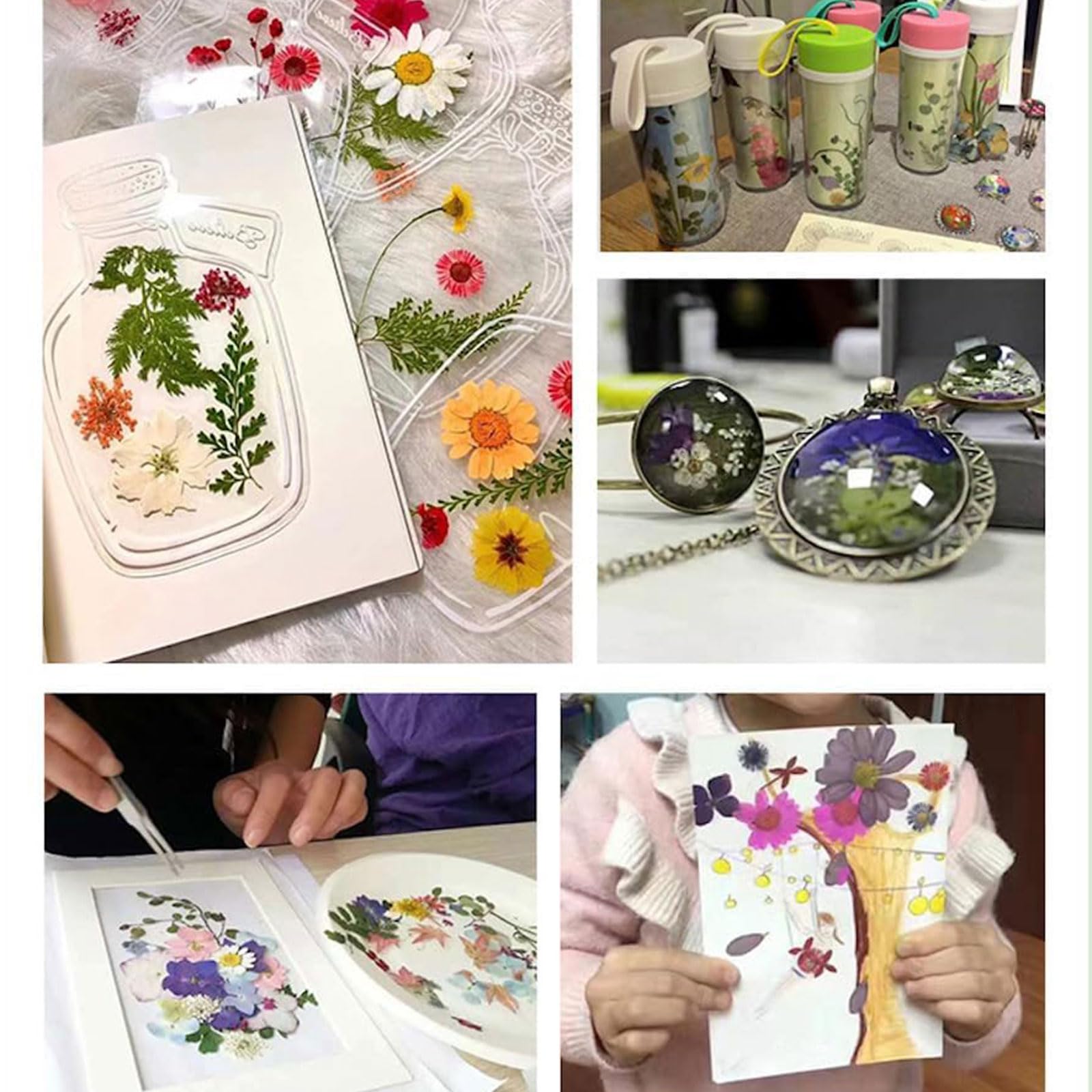 Set Di Fiori Secchi Naturali Pressati SJBAUTYO, Formato A5 (210x145 Mm), Con Pinzetta, Per Scrapbooking, Biglietti, Candele E Gioielli Fai Da Te