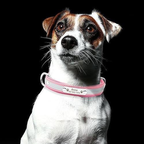 Miniatura 4 de Collares reflectantes personalizados para perros con acolchado de neopreno, collar de perro grabado personalizado con placa de nombre para perros