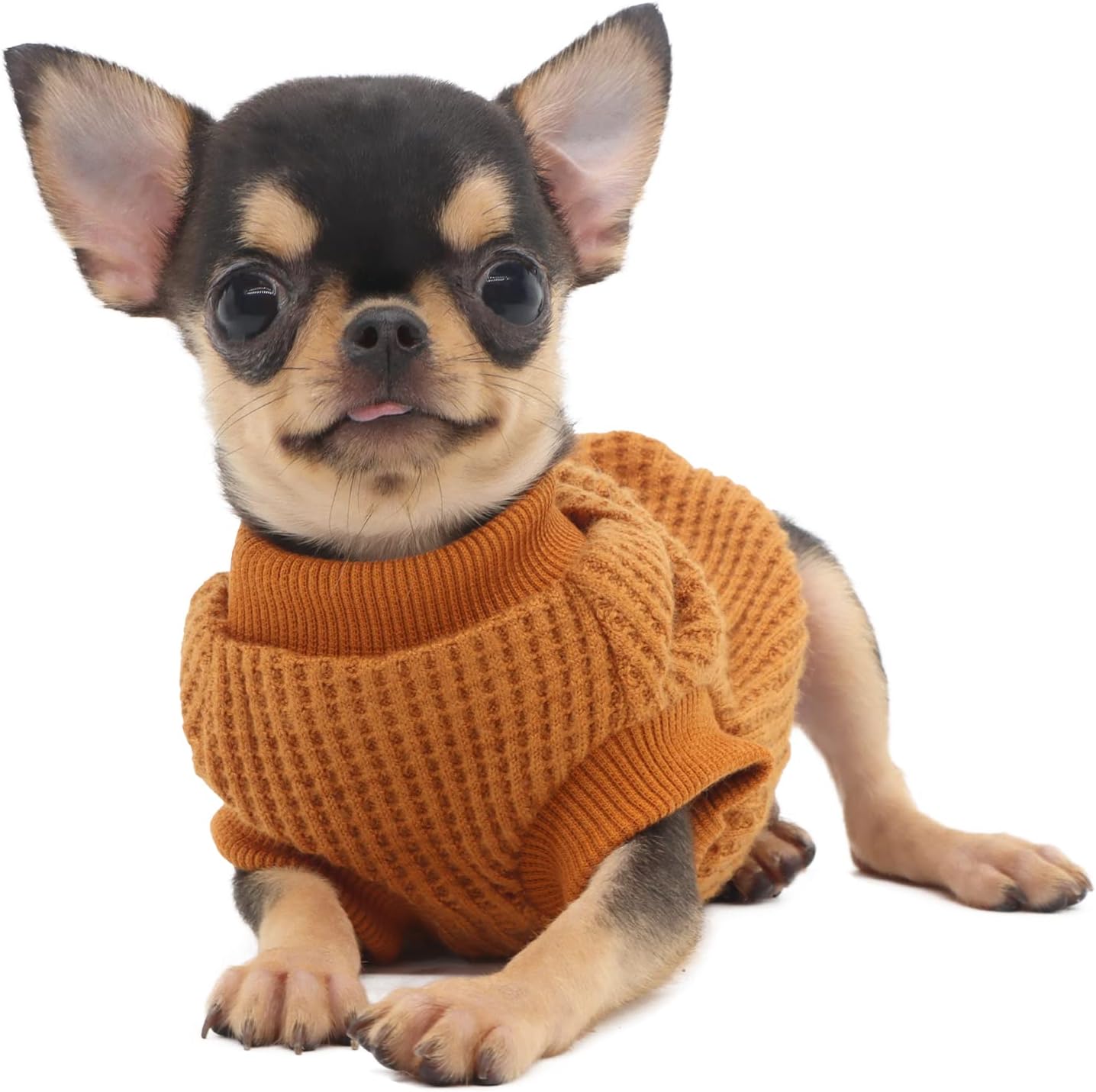 LOPHIPETS Dog Sweaters for Puppy Small Dogs Puppy Chihuahua Yorkie Clothes Cold Weather Coat-Yellow/XS, X-Small (Pack of 1) - Image 3
