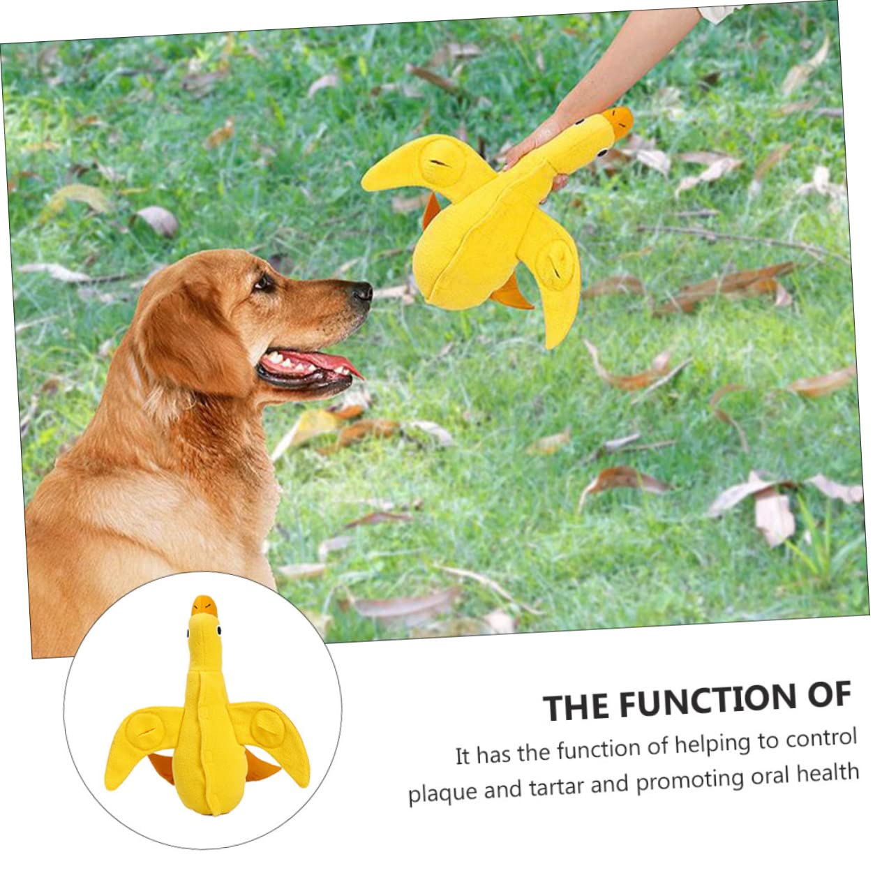Beavorty 2 Stücke Tier Form Pet Kauen Spielzeug Hund Quietschende Spielzeug Molaren Spielzeug Für Pet Oral Gesundheit