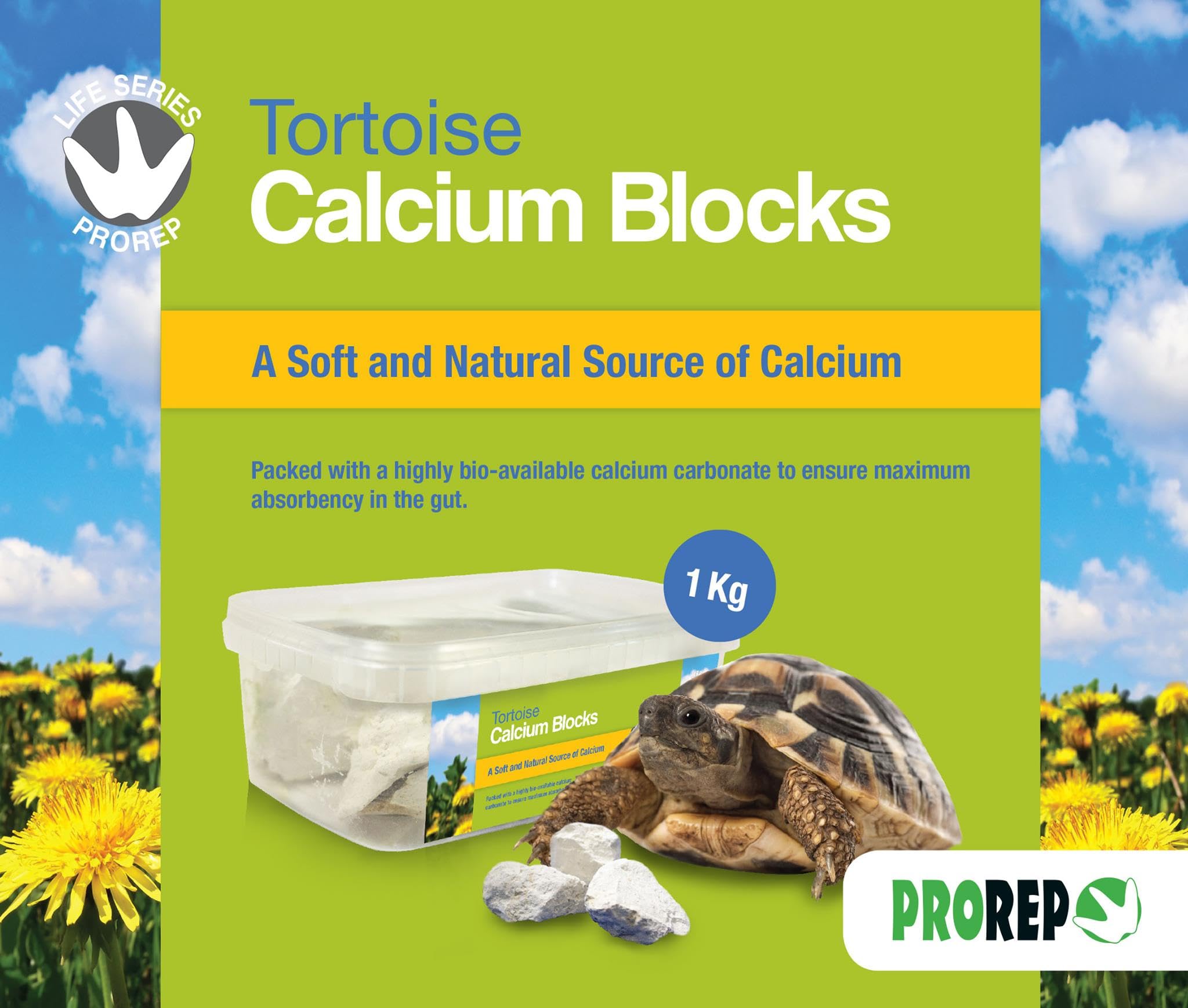 ProRep Tortoise Calcium Blocks | Tortoise Care (1kg)