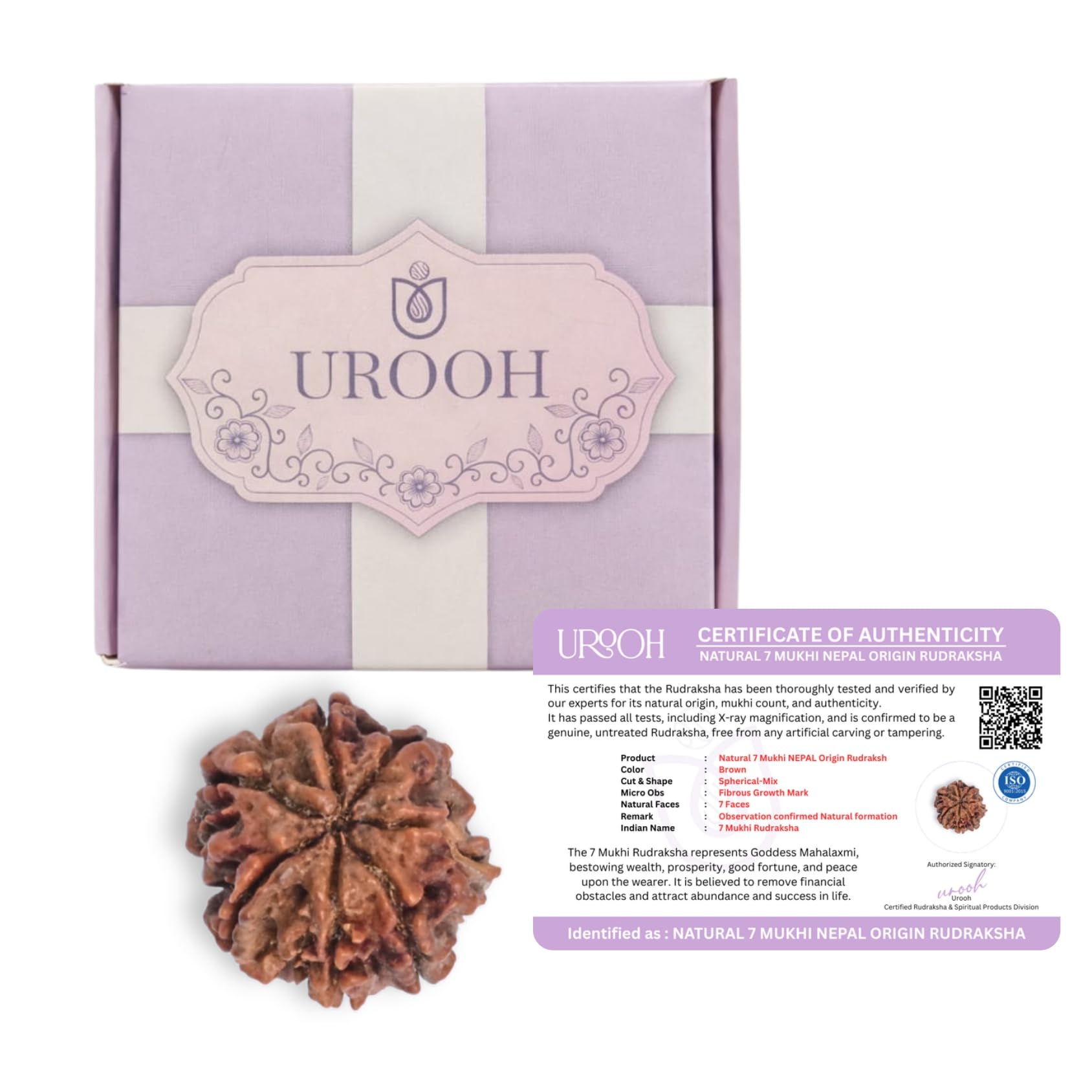 Price's UROOH Original 7 Mukhi Rudraksha with Silver Plated Capping | Seven Faced Rudraksh as per Shiva Purana |Certified Natural Rudraksha for Stability,Style, for Home Decor (Pack of 1)