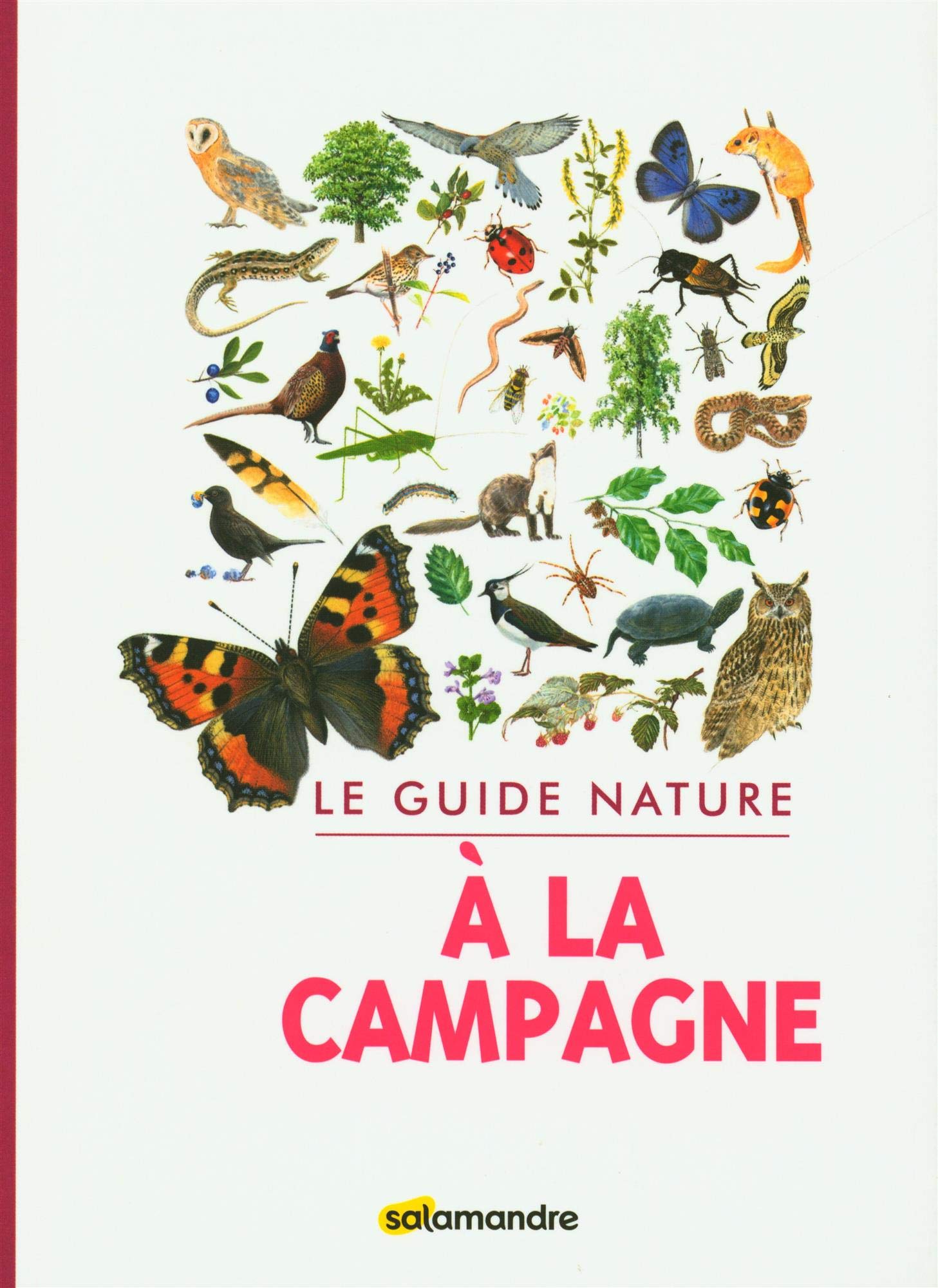 Le Guide Nature à La Campagne 
