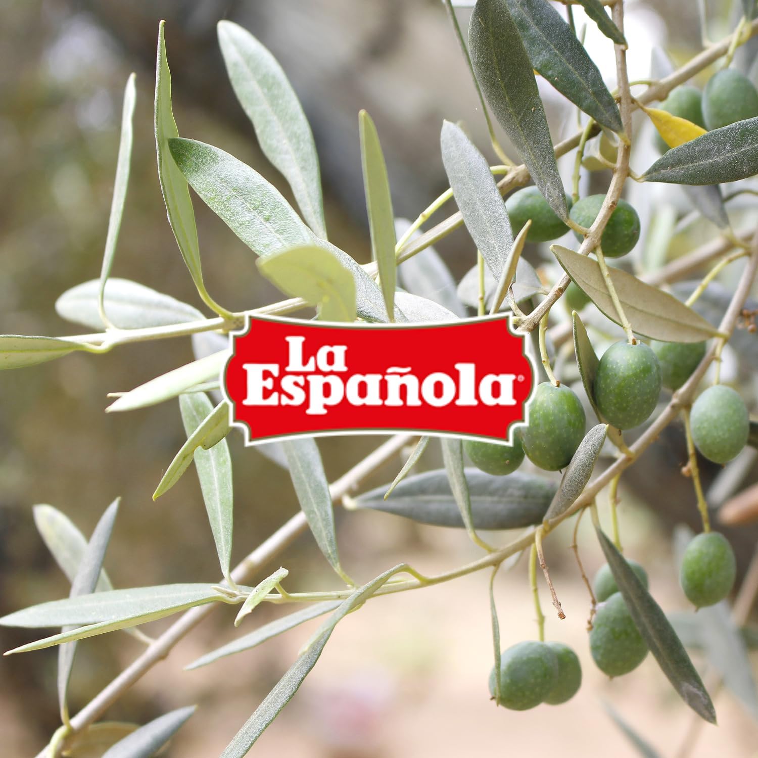 LA ESPAÑOLA - Huile d'olive vierge extra (5L)